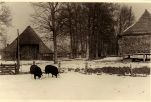 F01 Bij boerderij De Zelst, 1952